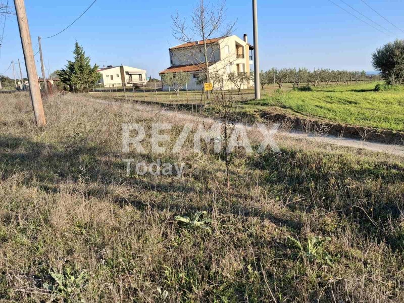 Αγροτεμάχια 4.000 τ.μ. για πώληση, Θεσσαλονίκη - Περιφ/Κοί Δήμοι, Θέρμη
