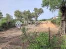 Land plot 175sqm for sale-Poligiros » Skala Gerakinis