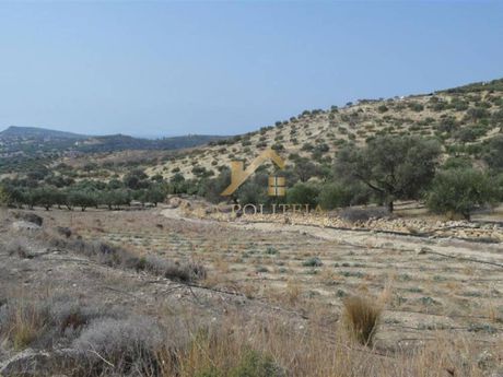 Land plot 4.050sqm for sale-Echedoros » Diavata