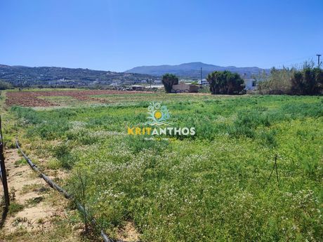 Parcel 10.000sqm for rent-Arkadi » Adelianos Kabos