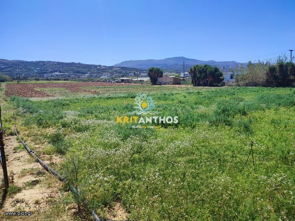 Parcel 10.000 sqm for rent, Rethymno Prefecture, Arkadi