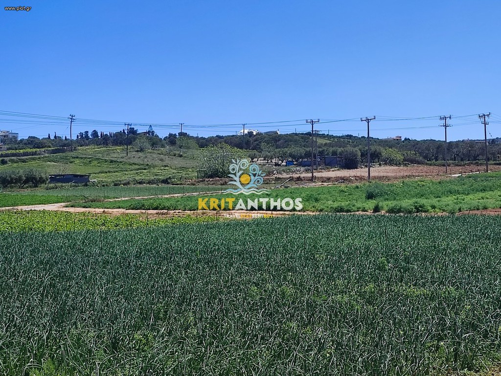 Αγροτεμάχια 10.000 τ.μ. προς ενοικίαση, Αδελιανός Κάμπος