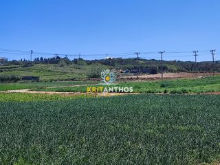 Αγροτεμάχια 10.000 τ.μ. για ενοικίαση, Ν. Ρεθύμνου, Αρκάδι-thumb-1