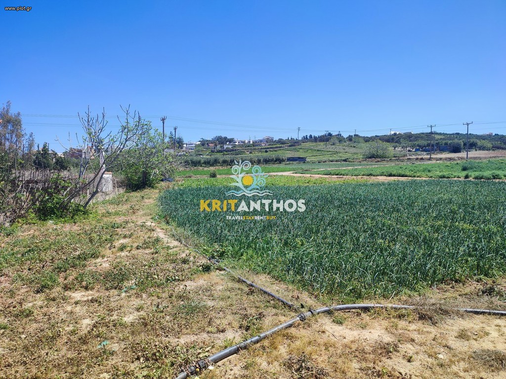 Αγροτεμάχια 10.000 τ.μ. προς ενοικίαση, Αδελιανός Κάμπος