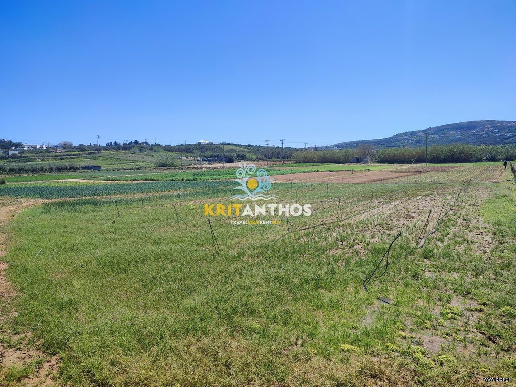 Αγροτεμάχια 10.000 τ.μ. προς ενοικίαση, Αδελιανός Κάμπος