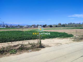 Αγροτεμάχια 10.000 τ.μ. για ενοικίαση, Ν. Ρεθύμνου, Αρκάδι-thumb-6