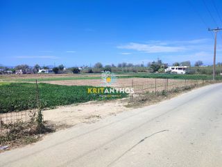 Αγροτεμάχια 10.000 τ.μ. για ενοικίαση, Ν. Ρεθύμνου, Αρκάδι-thumb-8