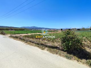 Αγροτεμάχια 10.000 τ.μ. για ενοικίαση, Ν. Ρεθύμνου, Αρκάδι-thumb-12