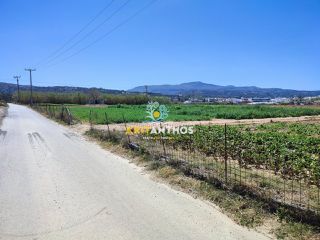 Αγροτεμάχια 10.000 τ.μ. για ενοικίαση, Ν. Ρεθύμνου, Αρκάδι-thumb-13