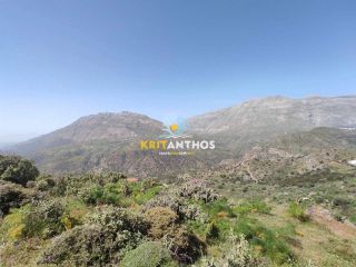 Οικόπεδο 2.533 τ.μ. για πώληση, Ν. Ρεθύμνου, Λάμπη-thumb-5