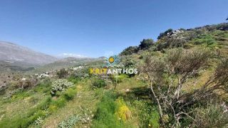 Οικόπεδο 2.533 τ.μ. για πώληση, Ν. Ρεθύμνου, Λάμπη-thumb-7