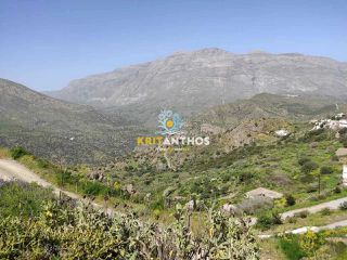 Οικόπεδο 2.533 τ.μ. για πώληση, Ν. Ρεθύμνου, Λάμπη-thumb-14