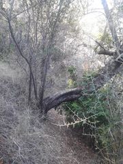 Δραστήριες Ημέρες-thumb-7