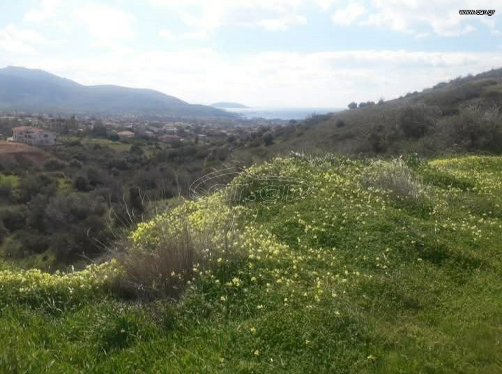 Δραστήριες Ημέρες