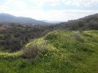 Δραστήριες Ημέρες