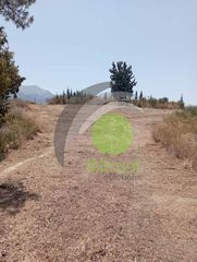 Οικόπεδο 32.000 τ.μ. για πώληση, Αχαΐα, Πάτρα-thumb-2