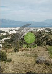 Οικόπεδο 4.000 τ.μ. προς πώληση, Αρόη-thumb-7