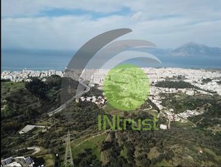 Οικόπεδο 4.000 τ.μ. προς πώληση, Αρόη-thumb-9