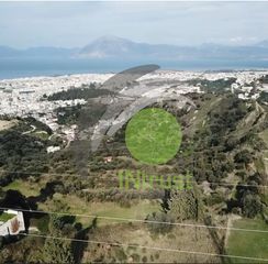 Οικόπεδο 4.000 τ.μ. για πώληση