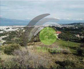 Οικόπεδο 4.000 τ.μ. προς πώληση, Αρόη-thumb-5