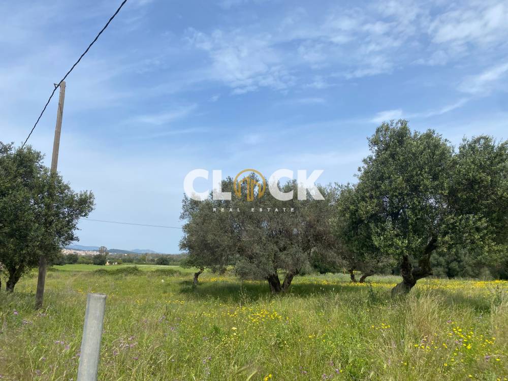 Οικόπεδο 8.507 τ.μ. προς πώληση, Αργοστόλι