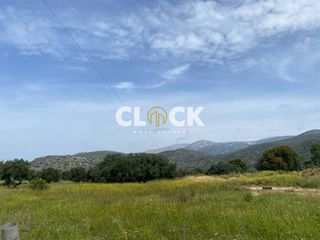 Οικόπεδο 8.507 τ.μ. για πώληση