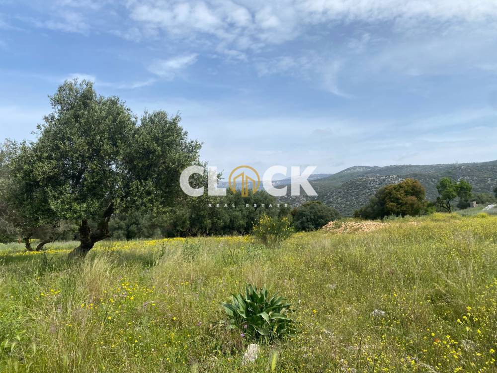 Οικόπεδο 8.507 τ.μ. προς πώληση, Αργοστόλι