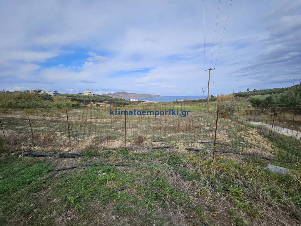 Οικόπεδο 9.437 τ.μ. προς πώληση, Αγία Μαρίνα Νέας Κυδωνίας