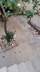 Κτίριο 291 τ.μ. για πώληση