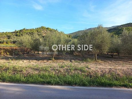 Αγροτεμάχια 3.350τ.μ. για πώληση-Βόχα » Σουληνάρι