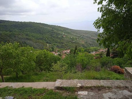 Οικόπεδο 631τ.μ. για πώληση-Πορταριά » Κατωχώρι