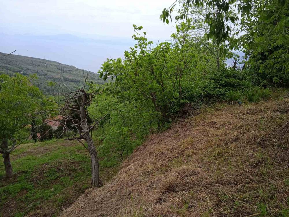 Οικόπεδο 631 τ.μ. πρός πώληση, Μαγνησία, Πορταριά