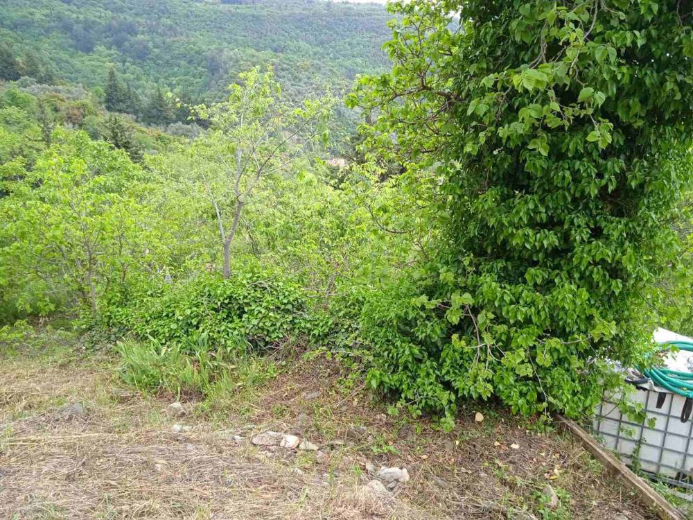 Οικόπεδο 631 τ.μ. πρός πώληση, Μαγνησία, Πορταριά