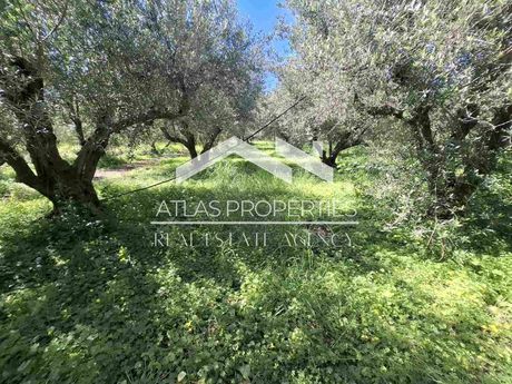 Parcel 9.120sqm for sale-Kolimvari » Center
