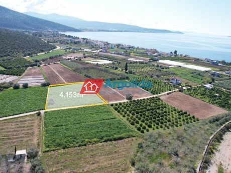 Αγροτεμάχια 4.155τ.μ. για πώληση-Ασίνη » Κάντια