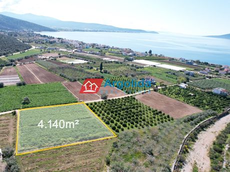 Αγροτεμάχια 4.137τ.μ. για πώληση-Ασίνη » Κάντια