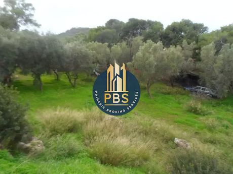 Οικόπεδο 4.000τ.μ. για πώληση-Βουλιαγμένη