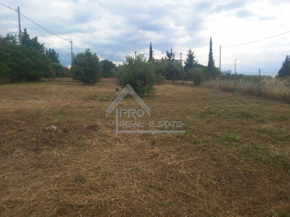 Αγροτεμάχια 500 τ.μ. πρός πώληση, Βοιωτία, Σχηματάρι