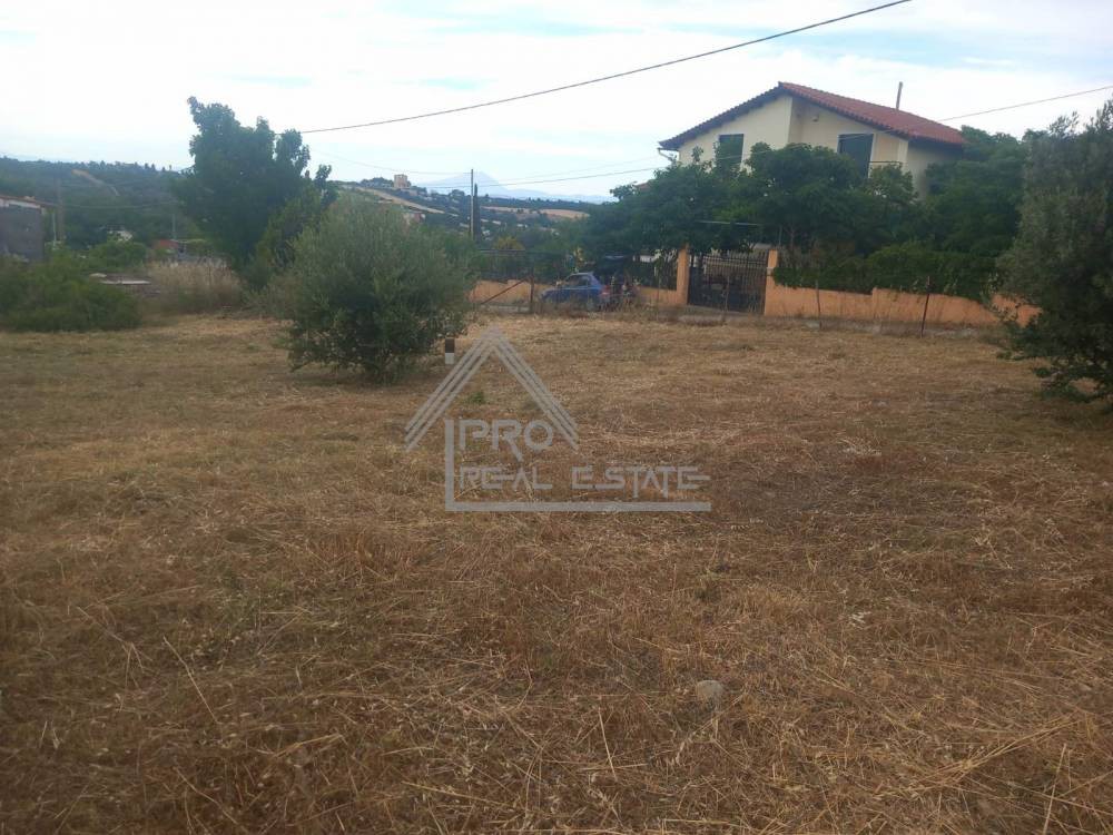 Αγροτεμάχια 500 τ.μ. πρός πώληση, Βοιωτία, Σχηματάρι