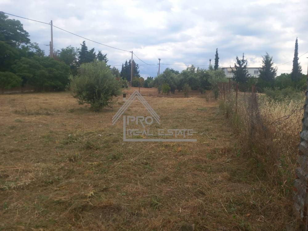 Αγροτεμάχια 500 τ.μ. πρός πώληση, Βοιωτία, Σχηματάρι