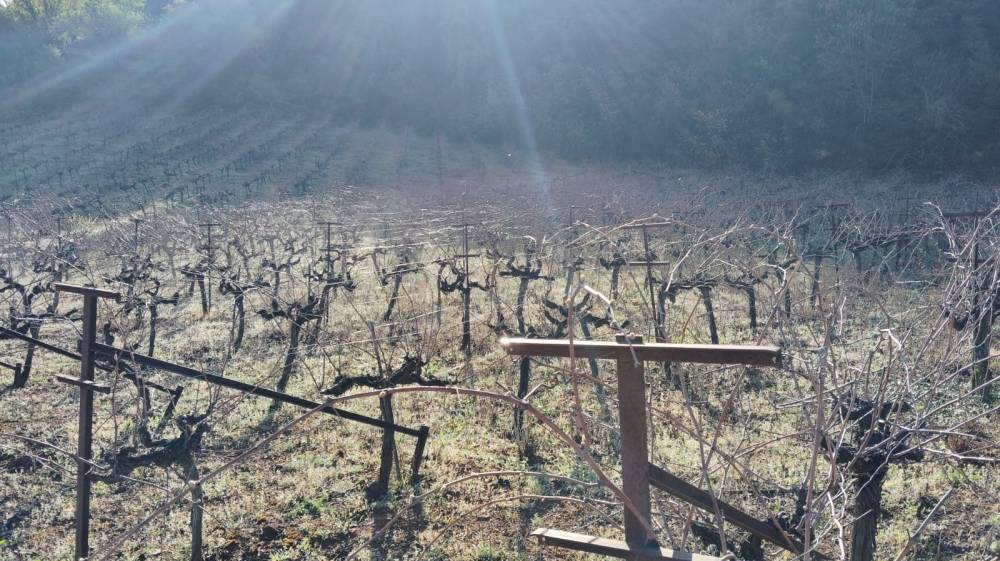 Αγροτεμάχια 9.506 τ.μ. πρός πώληση, Κορινθία, Ξυλόκαστρο