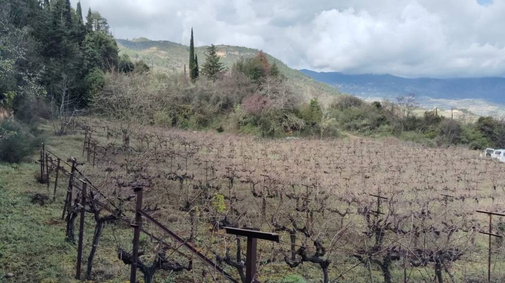 Αγροτεμάχια 9.506 τ.μ. πρός πώληση, Κορινθία, Ξυλόκαστρο