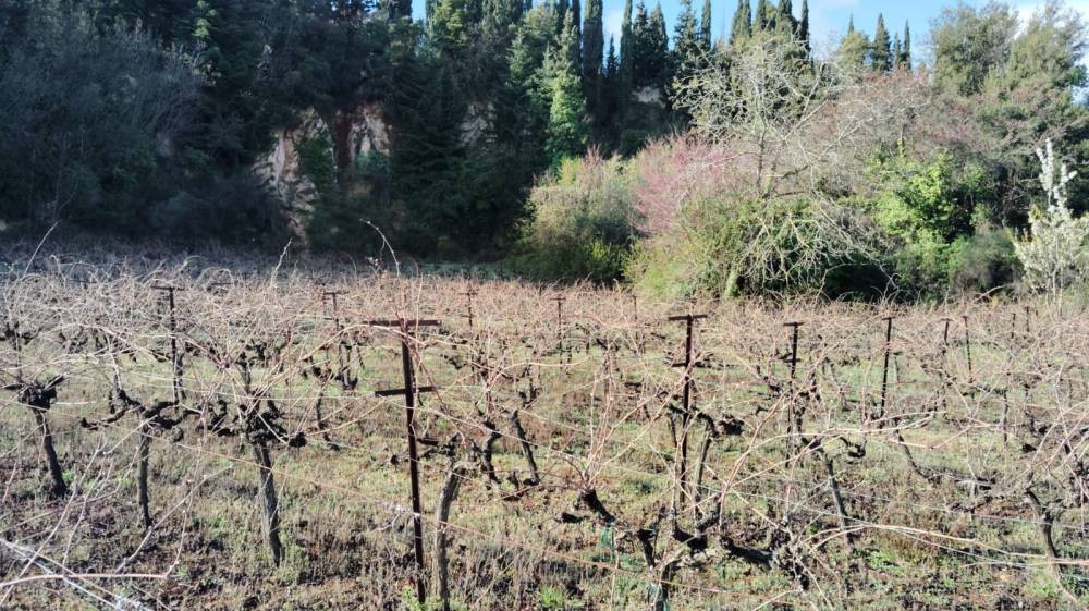 Αγροτεμάχια 9.506 τ.μ. πρός πώληση, Κορινθία, Ξυλόκαστρο