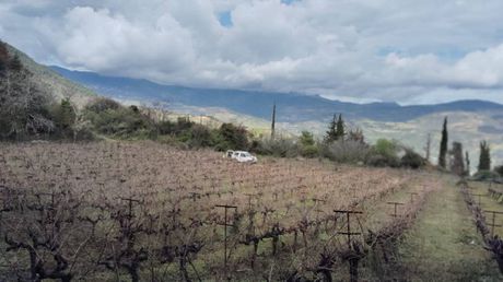 Αγροτεμάχια 9.506τ.μ. για πώληση-Ξυλόκαστρο » Παναρίτι
