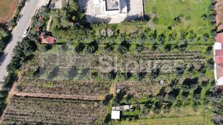 Αγροτεμάχια 6.279 τ.μ. για πώληση, Μεσσηνία, Μεσσήνη-thumb-11