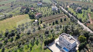 Αγροτεμάχια 6.279 τ.μ. για πώληση, Μεσσηνία, Μεσσήνη-thumb-16