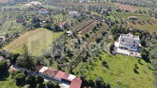 Αγροτεμάχια 6.279 τ.μ. για πώληση, Μεσσηνία, Μεσσήνη-thumb-14
