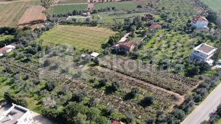 Αγροτεμάχια 6.279 τ.μ. για πώληση, Μεσσηνία, Μεσσήνη-thumb-25