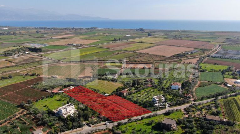 Αγροτεμάχια 6.279 τ.μ. για πώληση, Μεσσηνία, Μεσσήνη