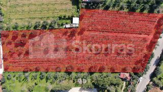Αγροτεμάχια 6.279 τ.μ. για πώληση, Μεσσηνία, Μεσσήνη-thumb-18